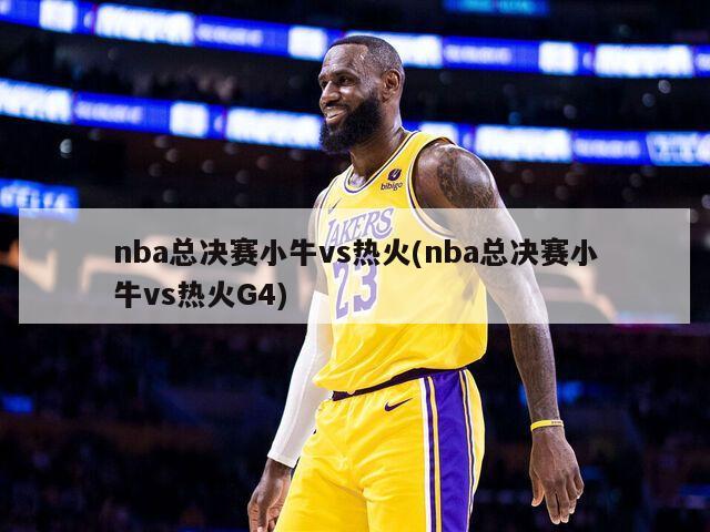 NBA小牛热火经典对决_小牛vs热火总决赛3_2011年NBA总决赛小牛热火