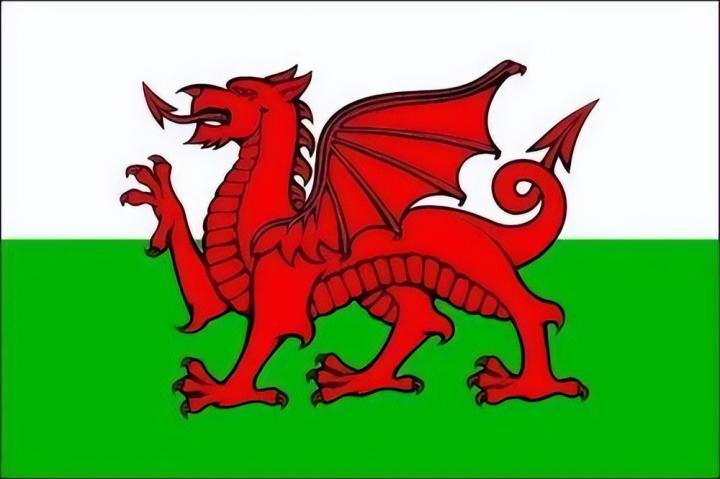 威尔士足球文化_威尔士国家队队徽_英格兰联赛威尔士球队