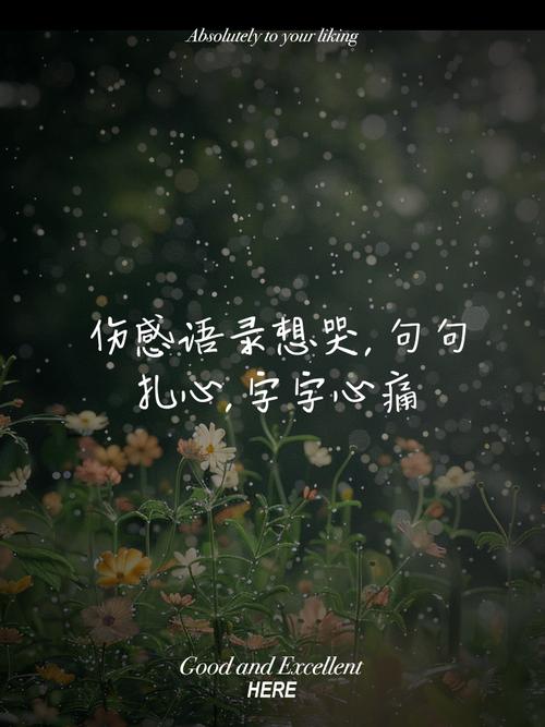 唯美文字语录_伤感文字语录00后_经典伤感语录